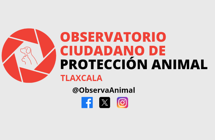 Obliga OCPA a dependencias del gobierno del estado a cumplir la Ley de Bienestar Animal
