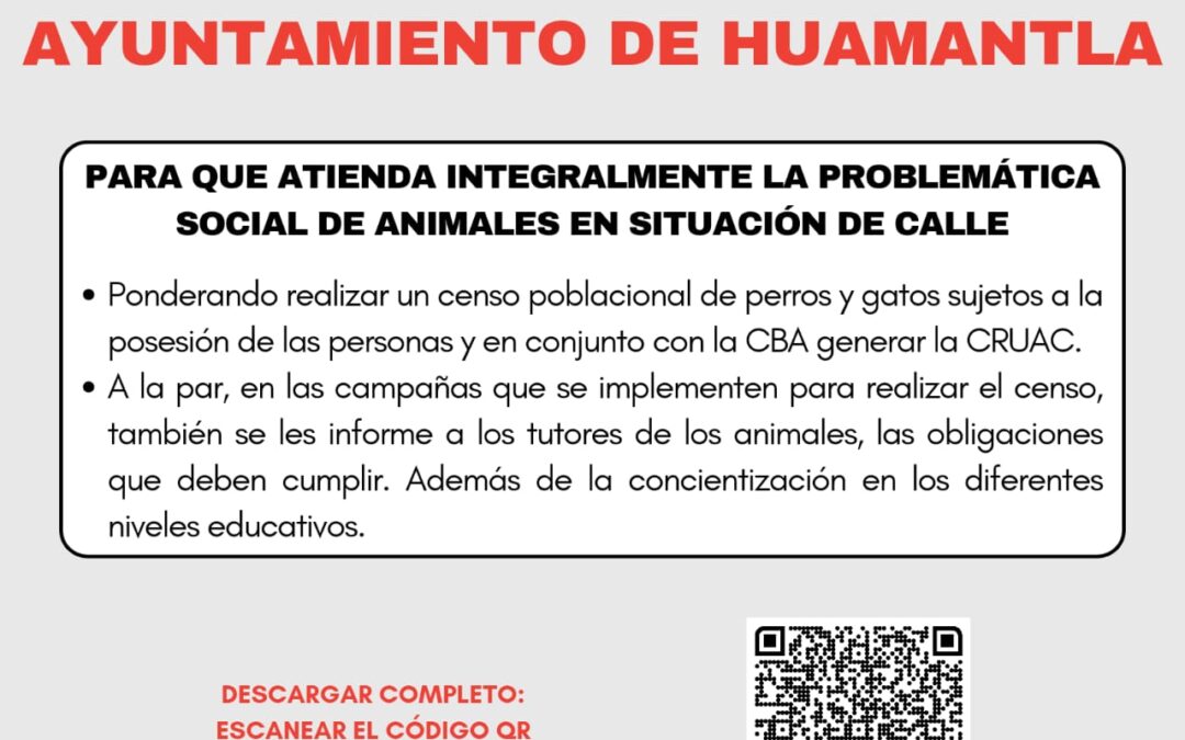 Huamantla debe atender la problemática social de animales en situación calle