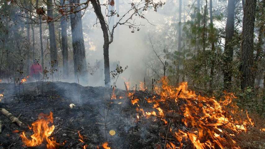 Tlaxcala es el quinto estado más afectado por incendios forestales
