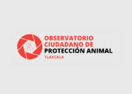 Incongruencia de la PGJE al emitir información sobre denuncias penales por maltrato animal: OCPA